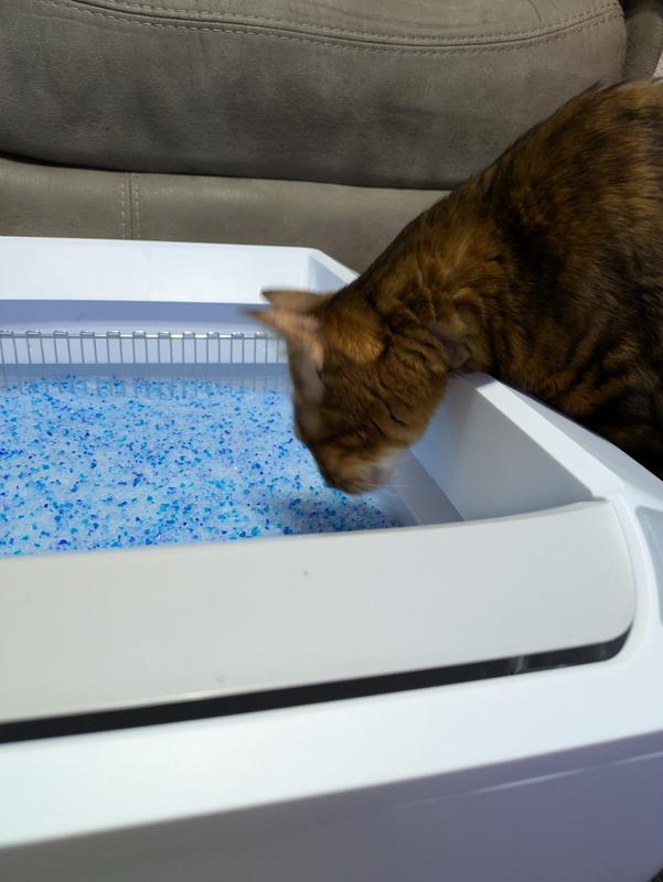 This is as far as we got. He said "nope, now way mom!"