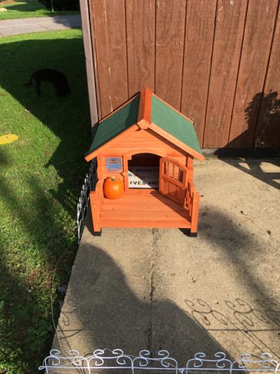 Pet squeak porch hot sale pups dog house