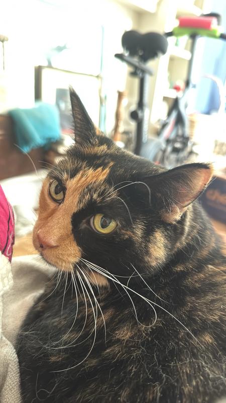 Eleanor the pretty girl.