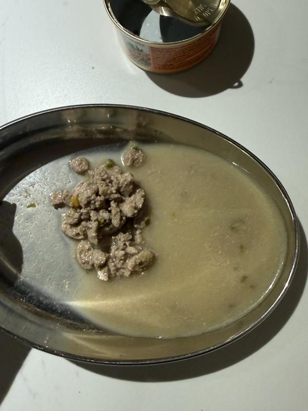 Not enough to keep my cat happy tonight.