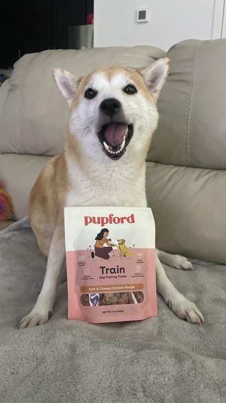 Dog approved!