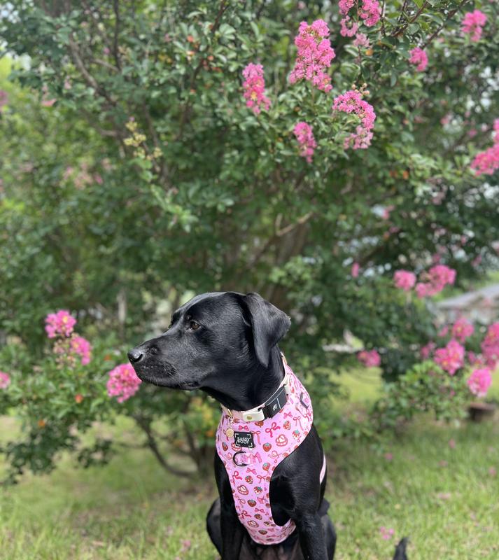 Wearing this made Avanti want to stop and smell the flowers 🌸