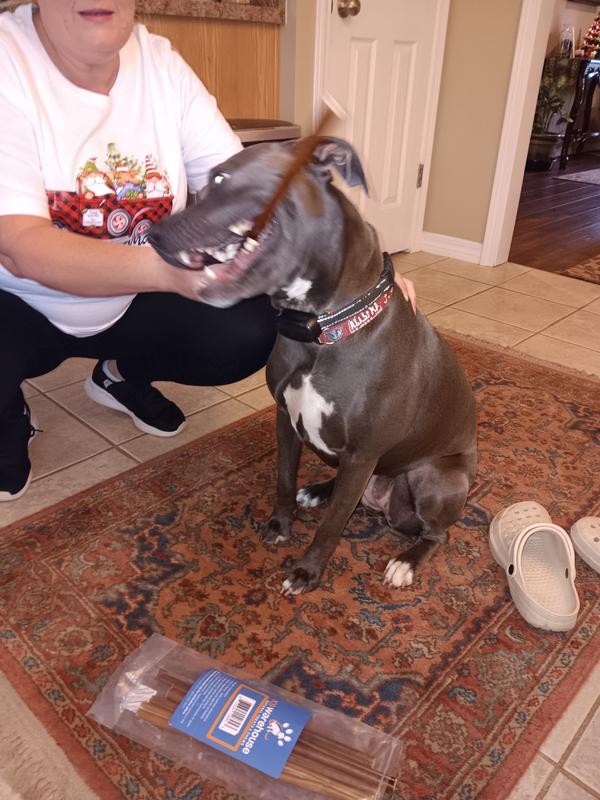 Lacuna was so excited we couldn’t even get her to sit still for a picture!