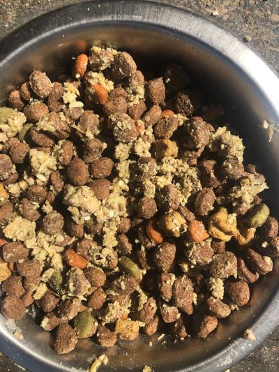 Wellness Bowl Booster add to our dry food