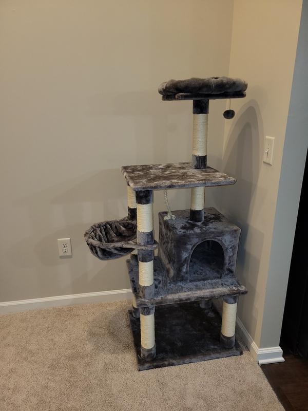 Best cat tree on the market. Highly recommend for kittens or adult cats! I didn't put the round bed wrapped on the top shelf like in the stock photo because my cats are fine the way it is.