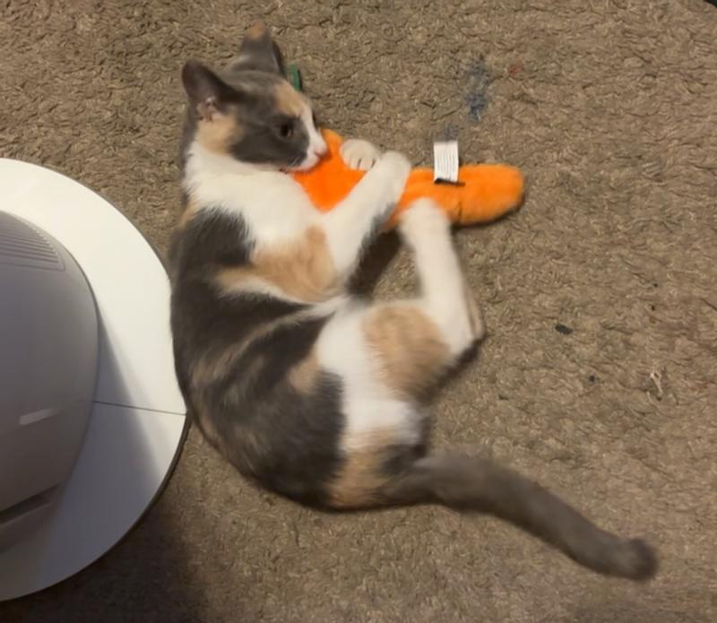 ZIPPYCLAWS Kickerz Carrot Cat Plush Toy with Catnip, Orange