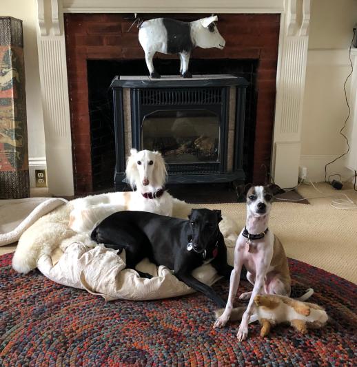 Arwen, Velvet, Thistle