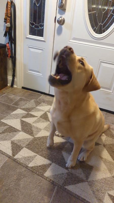 Catching and enjoying!