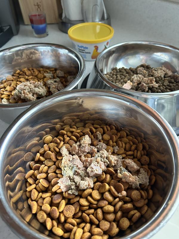 PETPLATE Human Grade GrainFree Chicken & Beef Fresh Dog Food, 12oz cup, case of 12