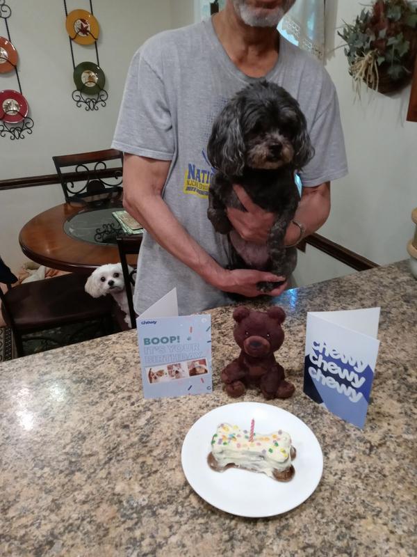 Chewy dog hot sale birthday cake