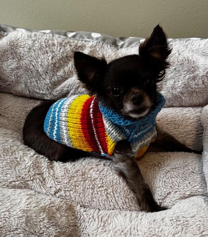Handsome in my new sweater!
