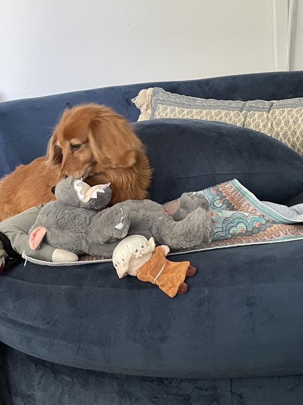 Tinker wanted them all to herself!