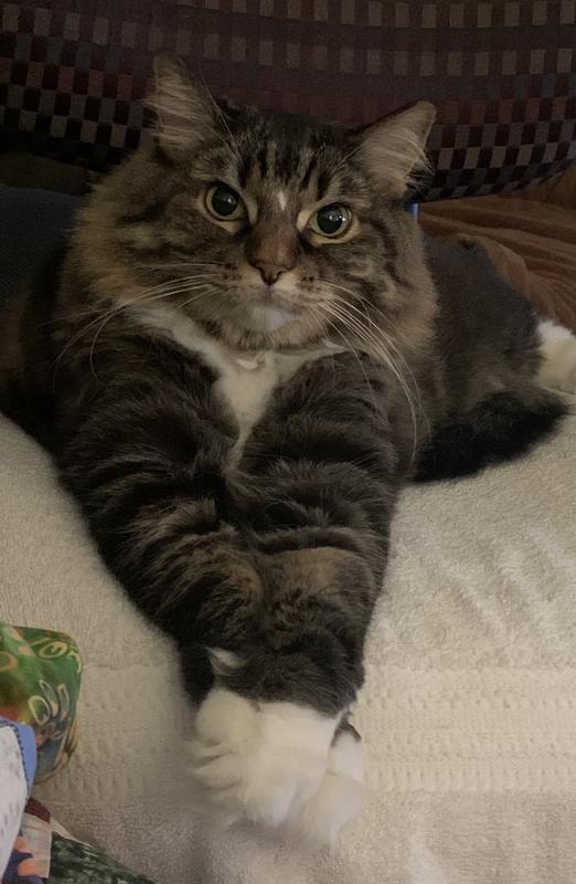 Sweetone my 10 yr old