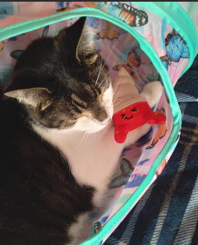 I'll hide with it.