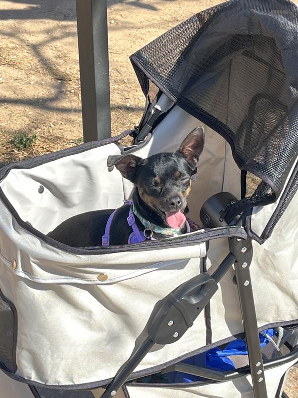 uppababy minu v2 Uppababy Minu V2 Stroller – Buttercup main image 0