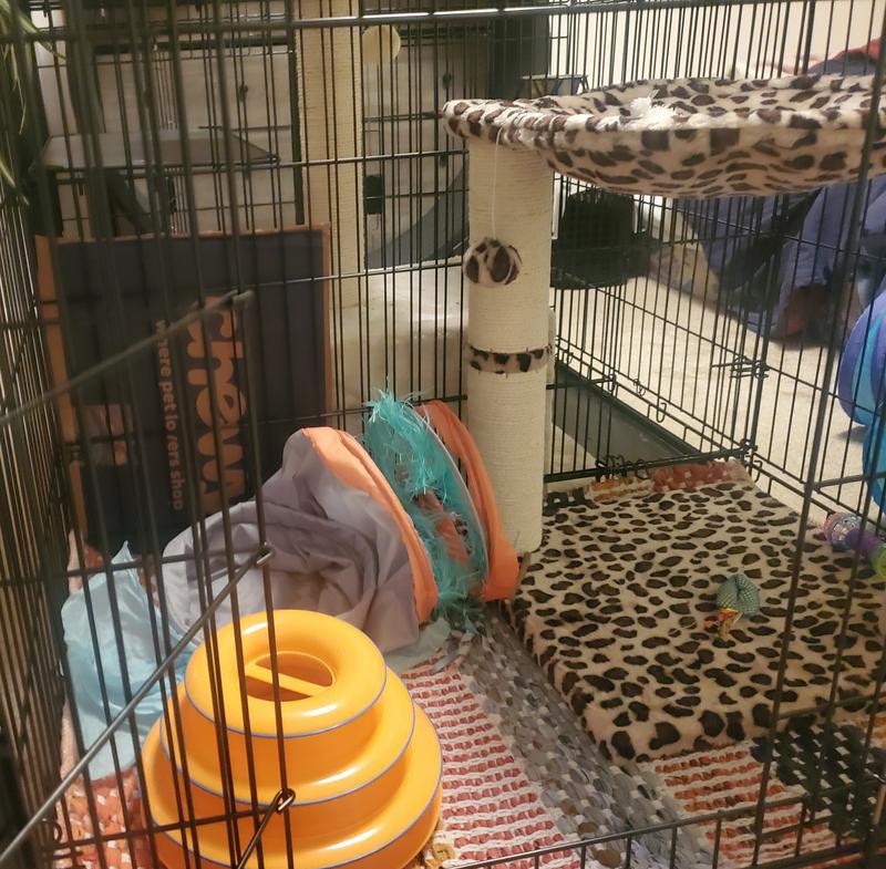 FRISCO Collapsible Wire Cat Cage Playpen