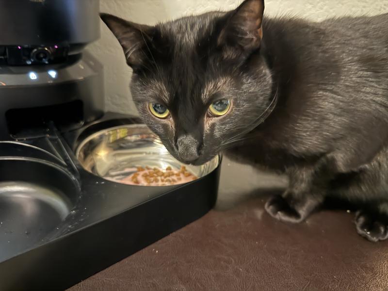He’s eating the medicine and doesn’t even know it