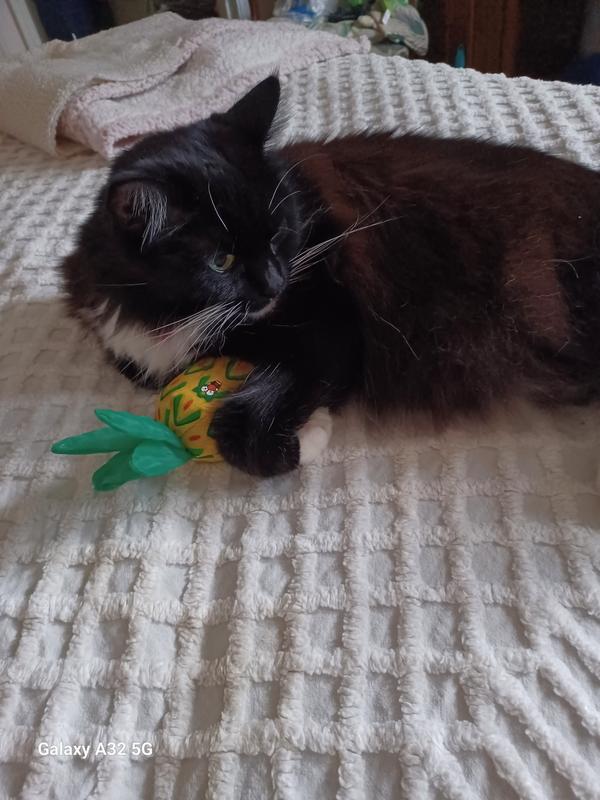 We love the pineapple!