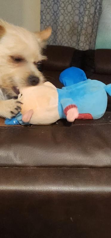 Zeek and his piggy