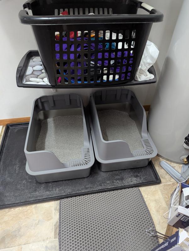 Set up and ready to go!