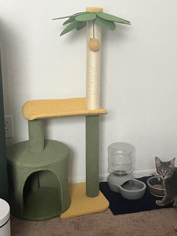 Aazon.co : Cat Scratching Post Pal Tree With Bed Cloud Cute Cat Tree