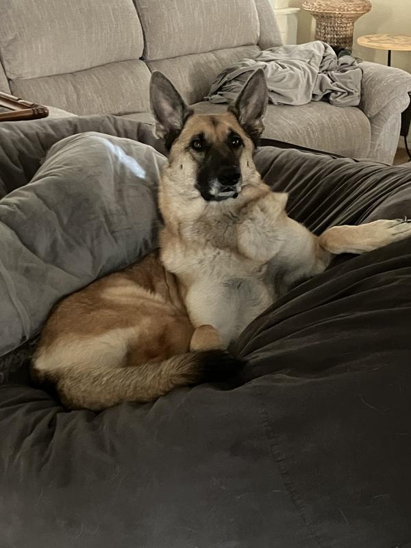 Satisfied pupstomer!