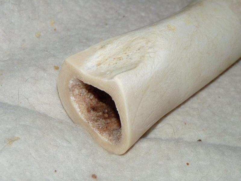 No damage after a couple hours chewing