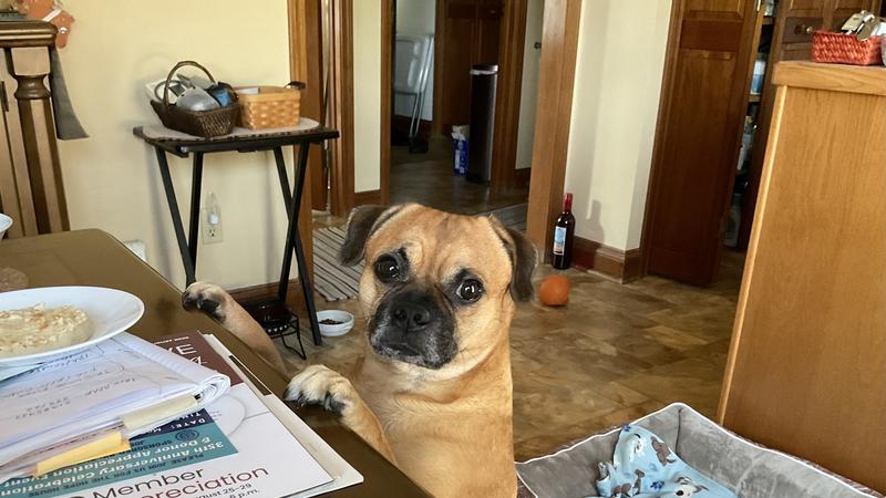 He has my heart ❤️