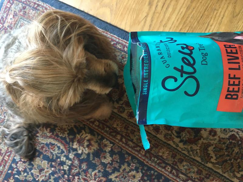 Toy getting her own treat out of the bag.