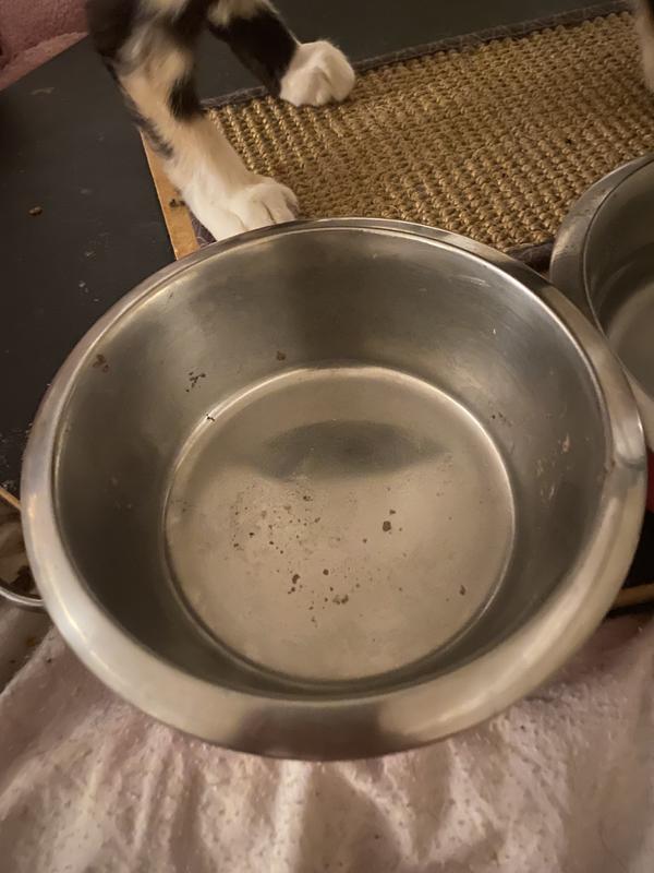 Clean plate