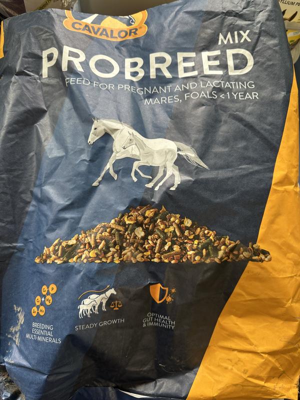 Please keep this IN STOCK