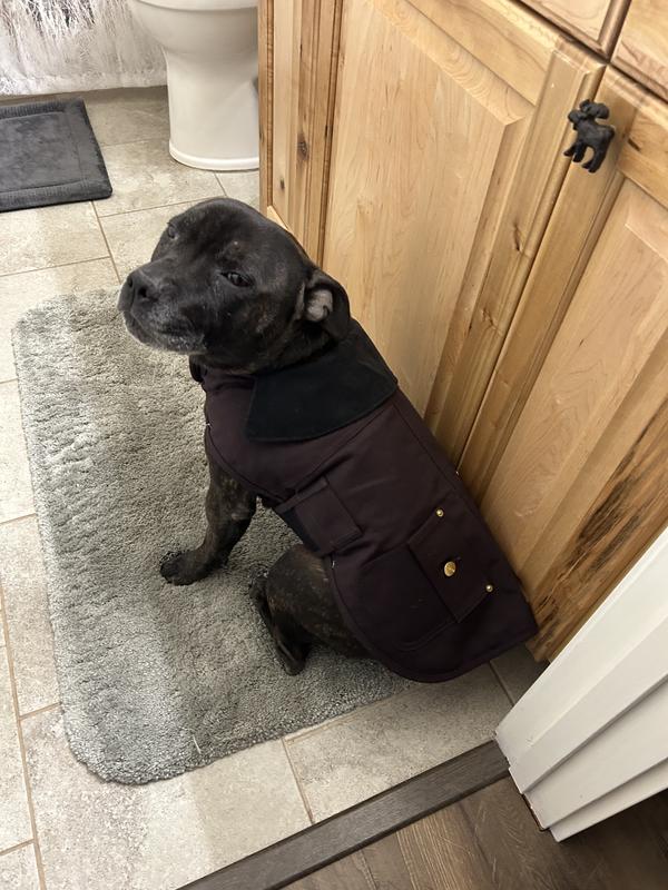 Carhartt Firm Duck Insulated Dog Chore Coat, Deep Wine