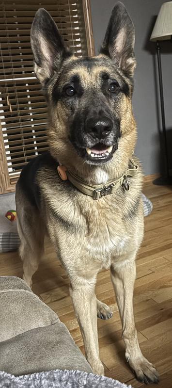 I’m Maverick and I approve this message!