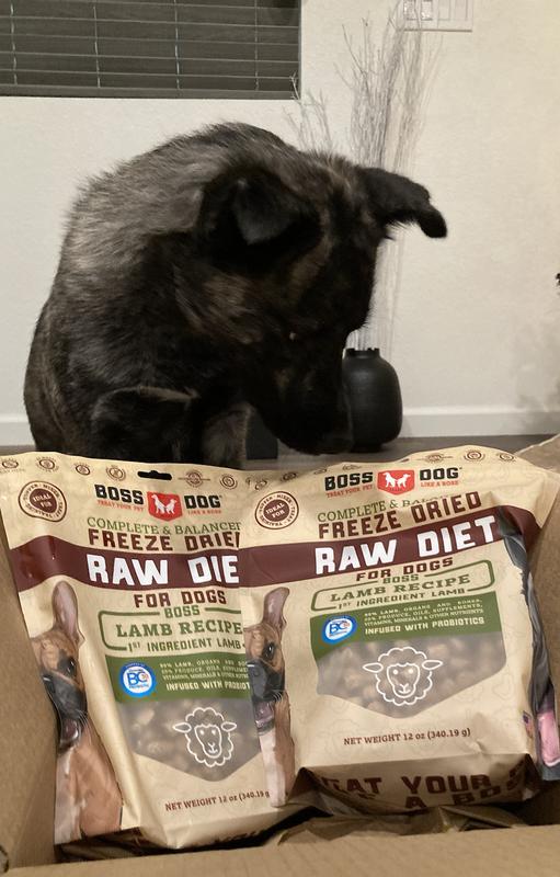 BOSS DOG's Freeze-Dried Lamb Recipe was love at first sight