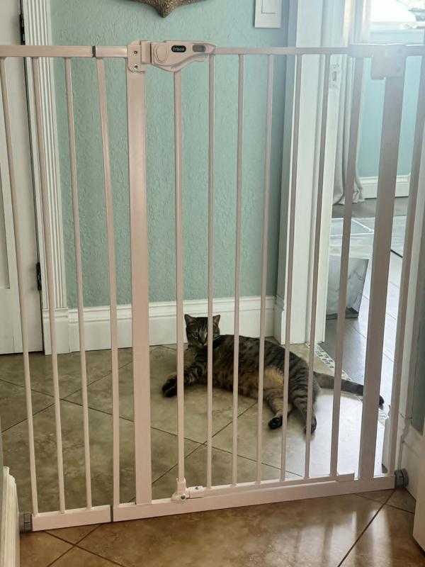 Kitty in jail (but very happy)