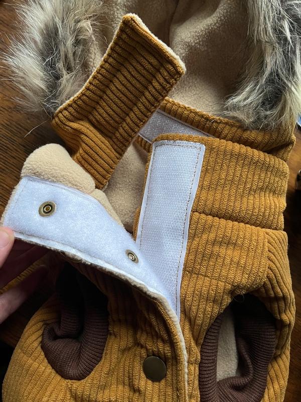 Frisco Corduroy Insulated Dog & Cat Jacket