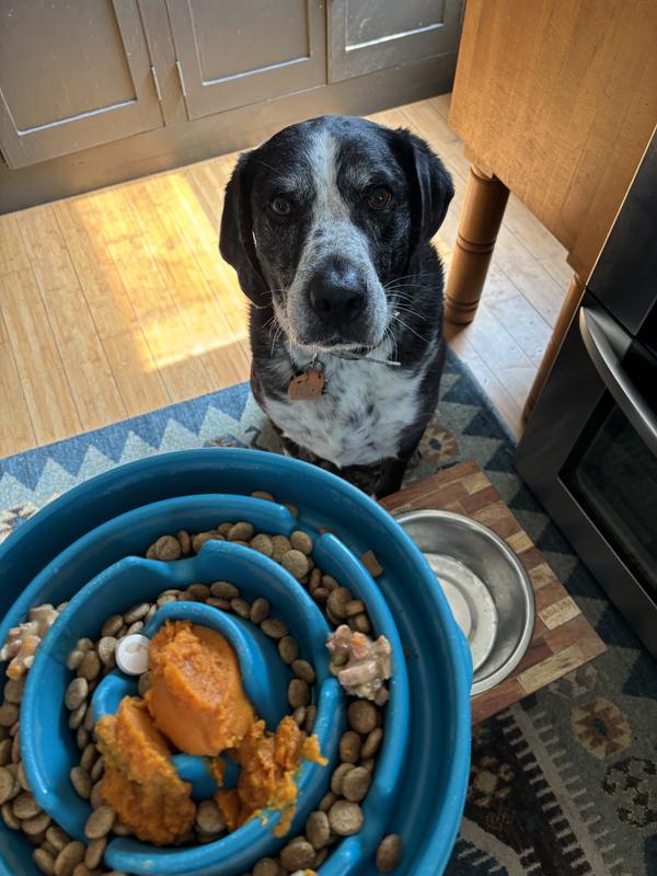 Happy boy at dinner time
