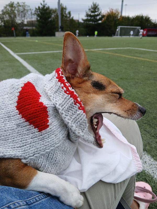 Lap time is nap time! Yawn