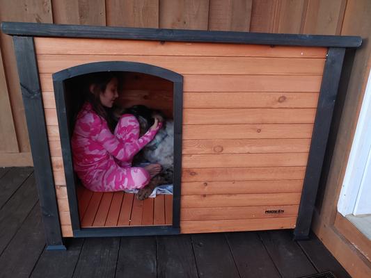 Outback log store cabin dog house