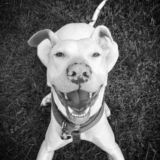 Smile while you still have teeth!