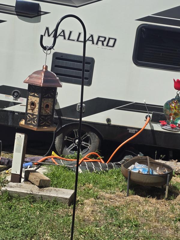 It just sits. No birds. My cats are sad too.