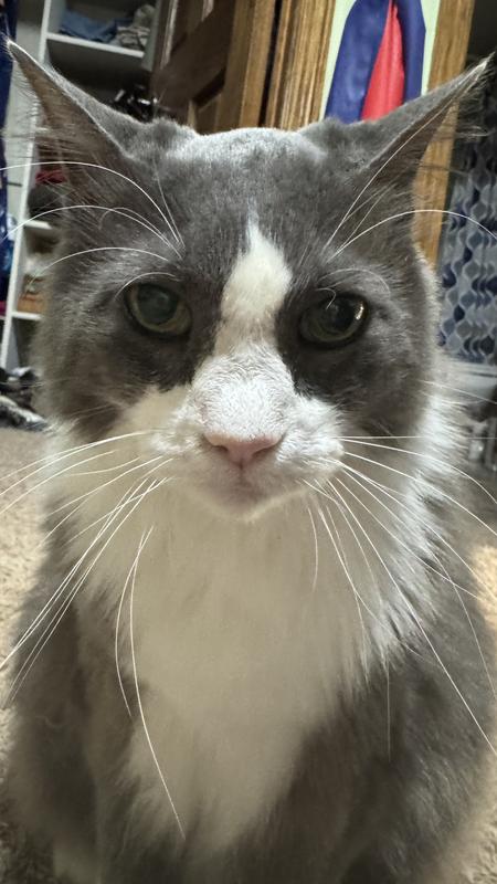 This is my picky eater, Pete!