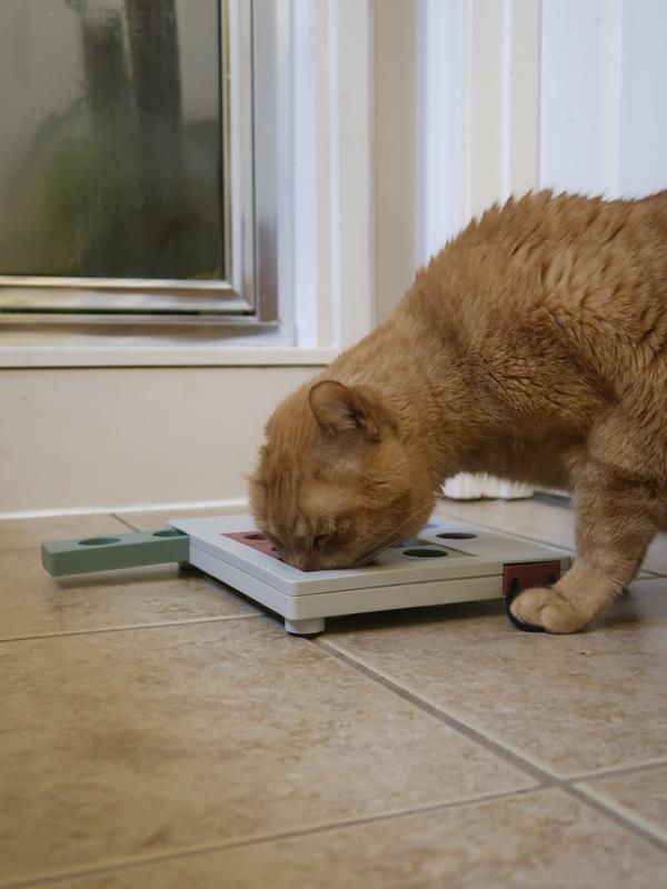 i love that the slots aren’t shallow so that he has to try a little harder to get the treat!