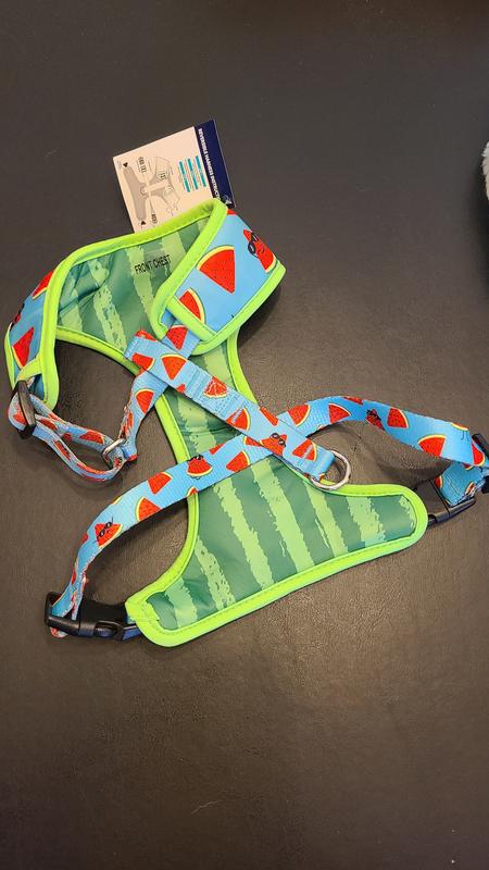 Adorable reversible pattern