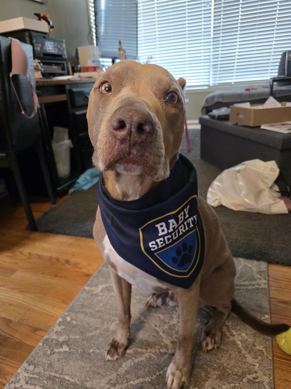 His ears weren't thrilled with pictures