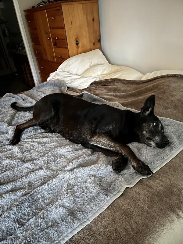 What are you doing mom?