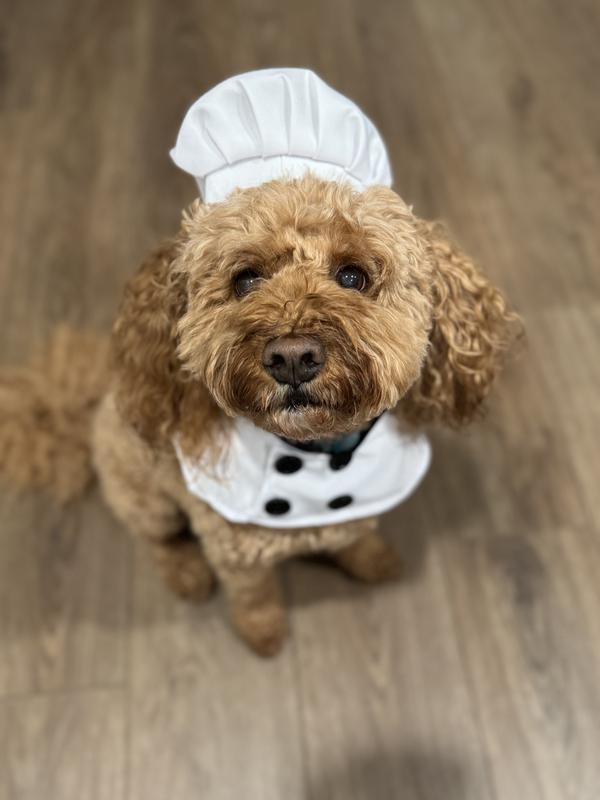 Hand over the bacon, lady.