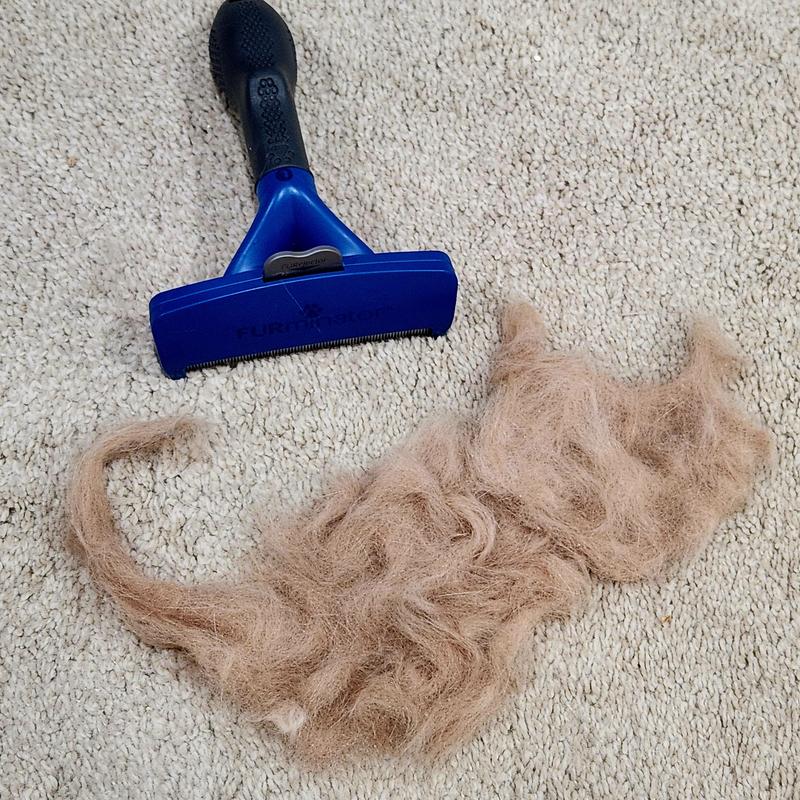 Furminator broom best sale