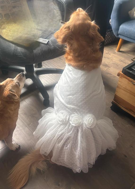 Back/tiered skirt/waistline rosettes