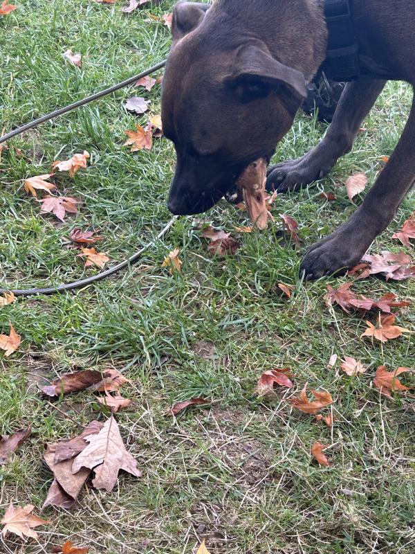 Hard to take her picture